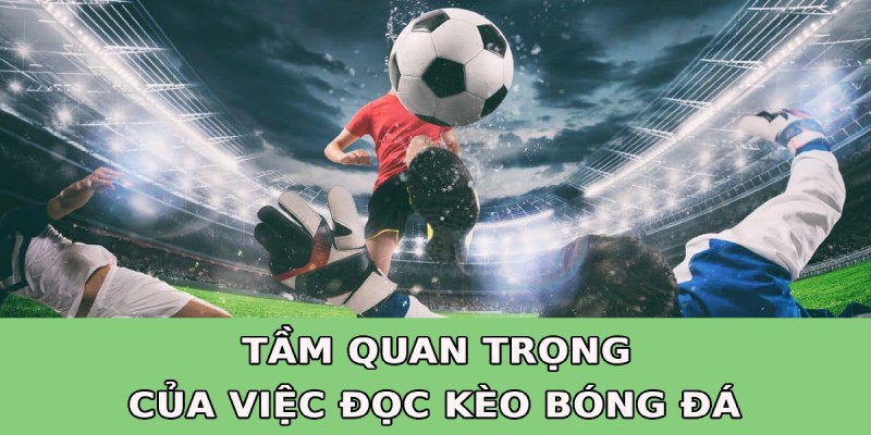 Tầm quan trọng của việc đọc kèo cá độ bóng đá