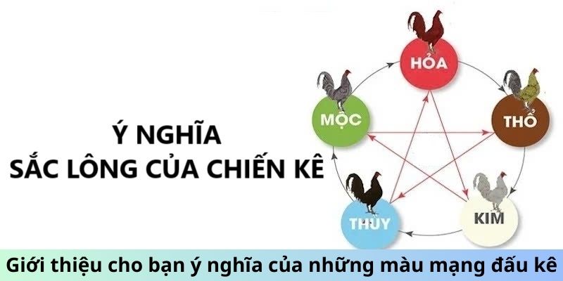 Giới thiệu cho bạn ý nghĩa của những màu mạng đấu kê