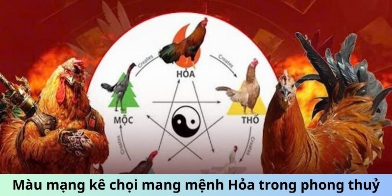 Màu mạng kê chọi mang mệnh Hỏa trong phong thuỷ